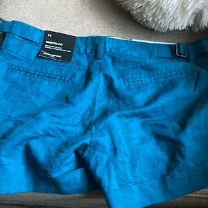 Banana Republic Teal Mountain Fit Shorts